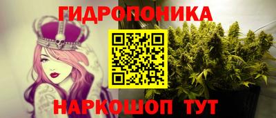 соль ск Ипатово