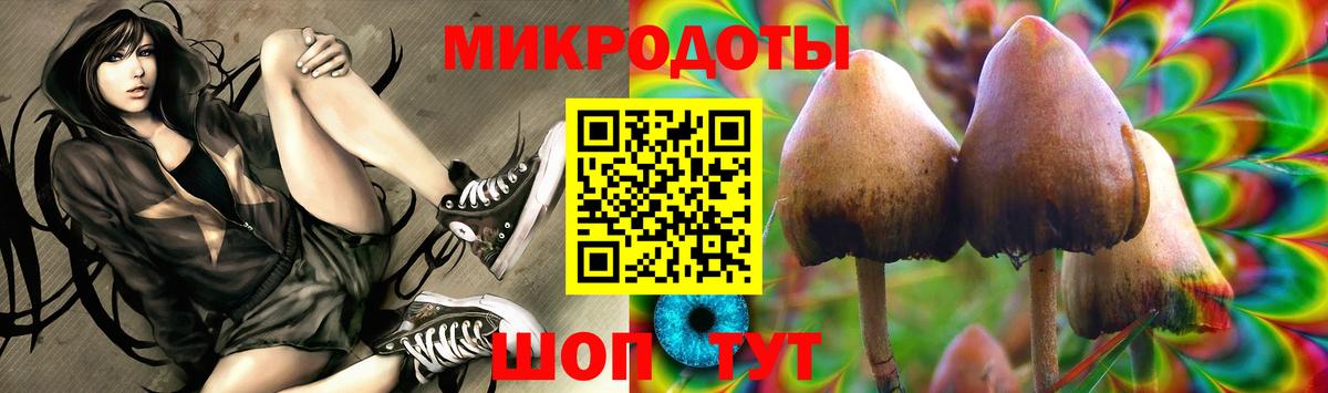 Псилоцибиновые грибы Cubensis Кузнецк